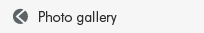 Photo gallery
